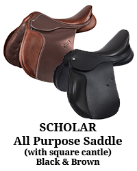 Scholar All Purpose Saddle with Square Cantle