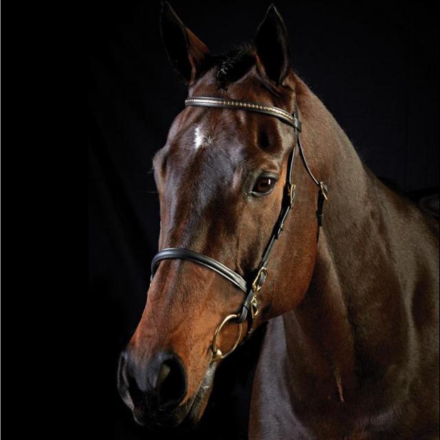 Collegiate Clincher Browband In Hand Bridle Black