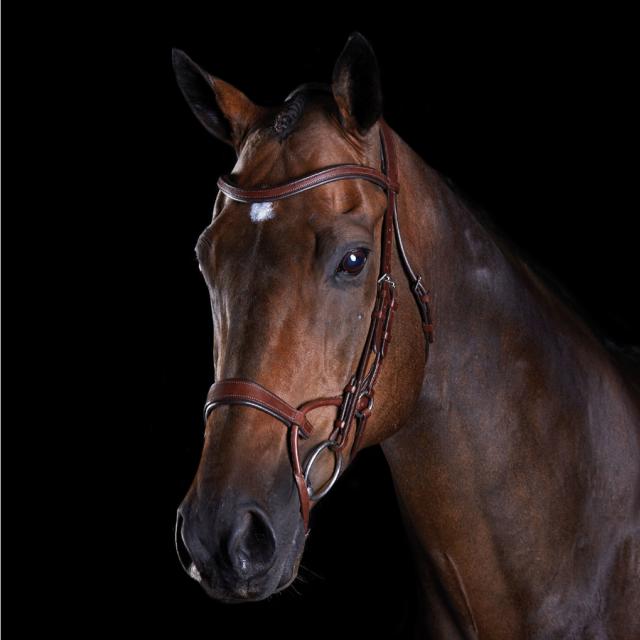 Collegiate ComFiTec Training Bridle Brown