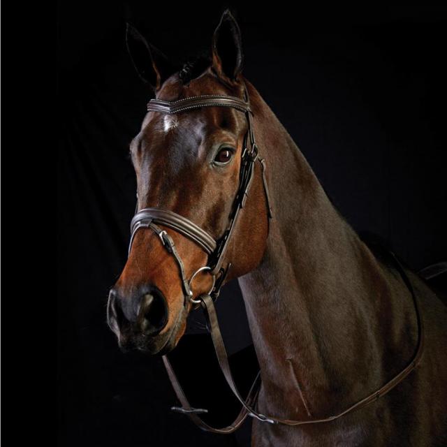 Collegiate Crystal Padded Crank Hanoverian Bridle Brown