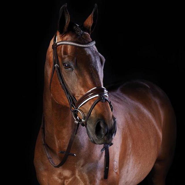 Collegiate Crystal Patent Crank Hanoverian Bridle Brown