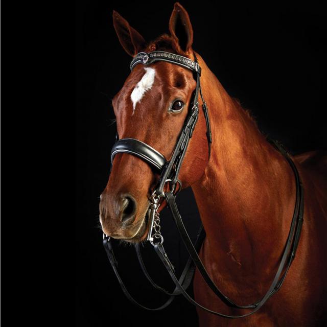 Collegiate Dressage Weymouth Bridle Black/Clear