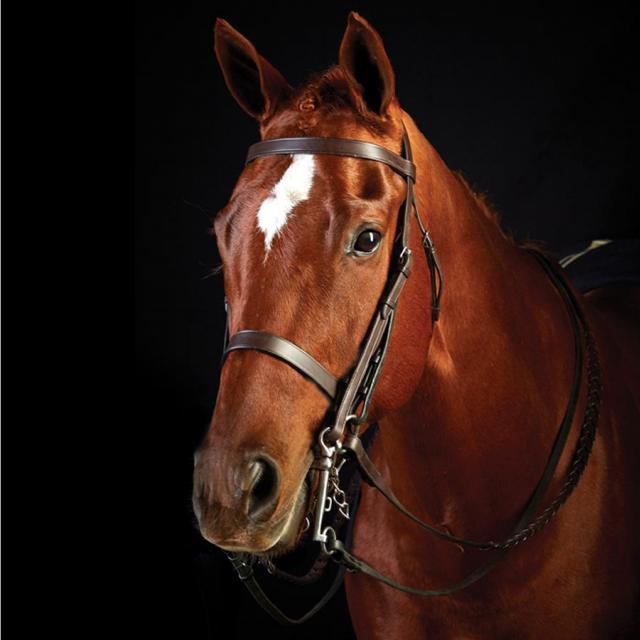 Collegiate Flat Weymouth Show 2 Bridle Brown