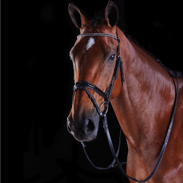 Collegiate Multi Crystal Crank Flash Bridle Black