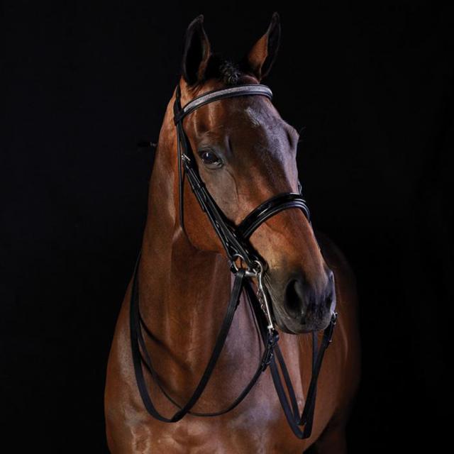 Collegiate Patent Crystal Crank Weymouth Bridle Black