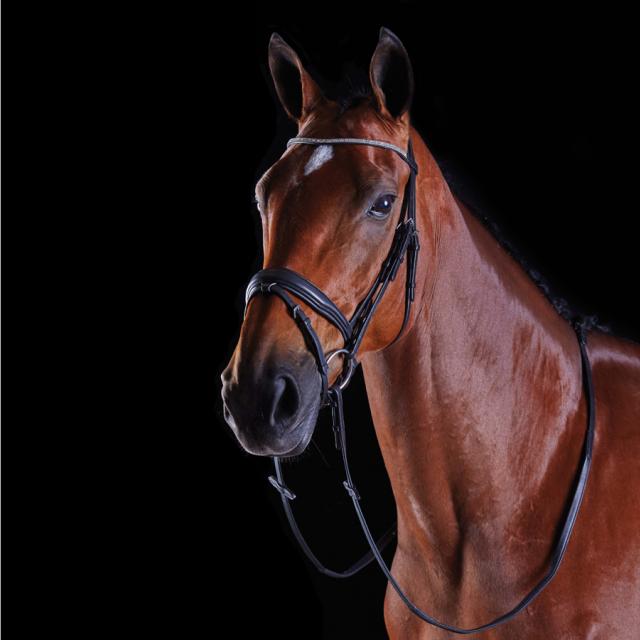 Collegiate Rock Crystal Shaped Crank Flash Bridle Black