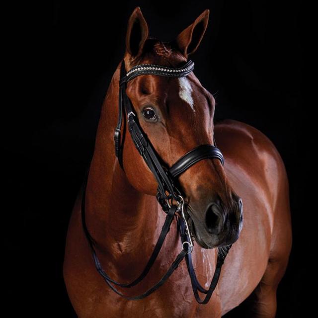 Collegiate Shaped Crystal Crank Weymouth Bridle Black