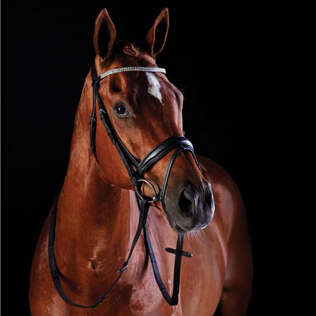 Collegiate Shaped Crystal Hanoverian Bridle Black