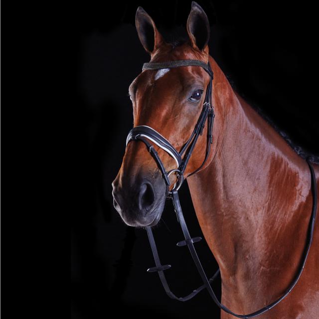Collegiate Triple Crystal Crank Flash Bridle Black