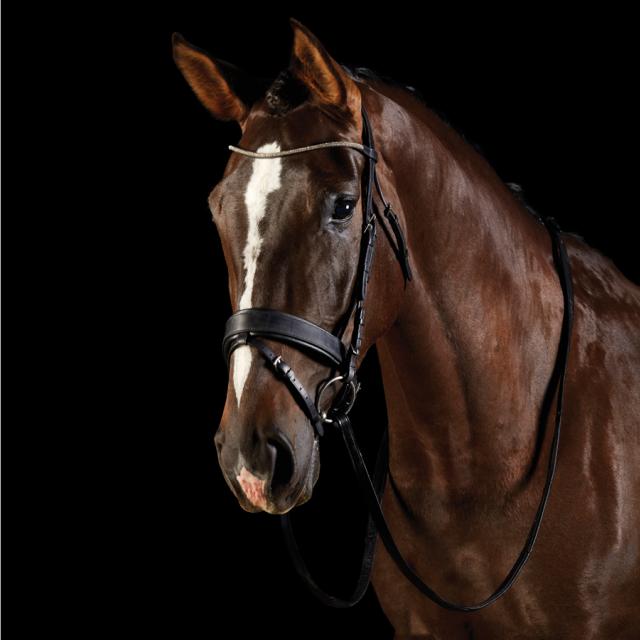 Collegiate U Shaped Diamante Bridle with Wide Noseband Black