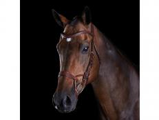 Collegiate ComFiTec Training Bridle Brown