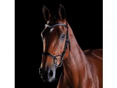 Collegiate ComFiTec Patent Bridle Black